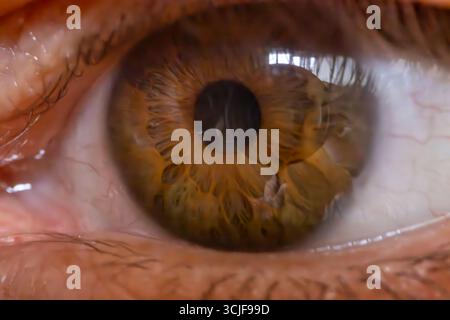 Detaillierte Makroaufnahme eines menschlichen braunen Auges, das die komplizierten Muster und Texturen von Iris und Pupille zeigt. Das Bild erfasst die lebendigen Farben, Ref Stockfoto