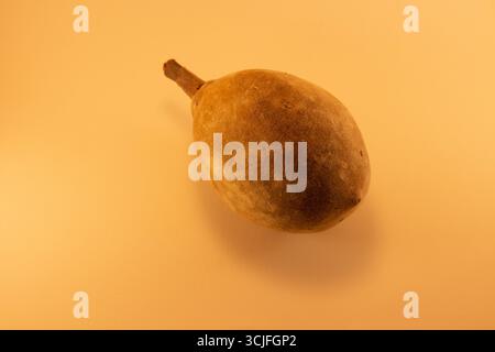 Traditioneller afrikanischer Baobab (Adansonia digitata) Frucht Natural Pod Stockfoto