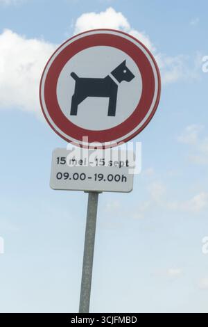 Schild „Hunde nicht erlaubt“ mit Hinweis auf die Verbotszeit vom 15. Mai bis 15. september zwischen 9:00 Uhr und 19:00 Uhr vor einem blauen Himmel in wassenaar; Stockfoto