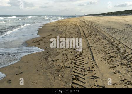 Reifenspuren von einem Traktor sind an einem Sandstrand sichtbar, wenn Meereswellen entlang der Küste abstürzen Stockfoto