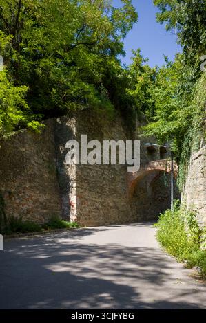Ein Pfad schlängelt sich zwischen alten Steinmauern, die heute von Grün bewachsen sind. Die Mauern dienten wahrscheinlich als Befestigungsanlagen und schützten die Stadt im Inneren. Der Torbogen Stockfoto