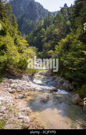 Ein unberührter Fluss fließt durch einen üppigen Wald. Das Wasser kaskadiert über Felsen und bildet kleine Stromschnellen. Die Szene weckt Ruhe und die Schönheit von nat Stockfoto