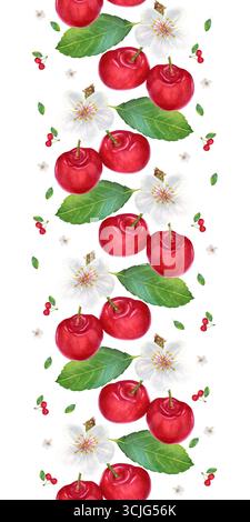 Nahtlose vertikale Aquarellgrenze mit handgezeichneten roten Kirschblüten mit Blättern und Blumen. Isoliert auf weißem Hintergrund. Stockfoto