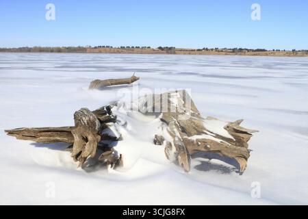 Wunderschöne Landschaft mit gefrorenem See und trockenem Baum bedeckt mit Schnee und Eis Stockfoto