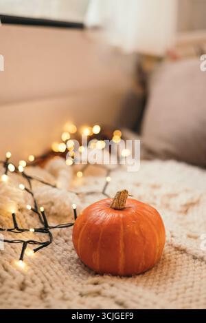 Kleiner Kürbis auf kuscheliger Strickdecke mit warmen Feenlichtern, Herbstdekoration. Stockfoto