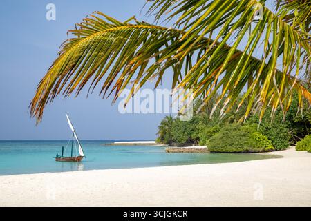 Unberührte tropische Insel auf den Malediven mit weißem Sandstrand und Segelboot auf dem Wasser Stockfoto