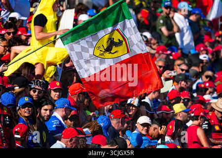 Tifosi Ferrari Supporterswährend der Formel 1 Pirelli Gran Premio d'Italia 2025 auf dem Monza Circuit, Lombardei, Italien, vom 6. Bis 9. September 2025. Runde 16 der FIA Formel-1-Weltmeisterschaft 2025. Quelle: Alessio De Marco | Avens-Images.com/Alamy Live News Stockfoto