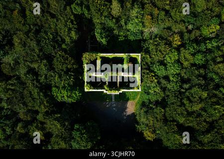 Luftaufnahme von oben nach unten auf das bewachsene Moore Hall Mansion im Irish Forest Stockfoto