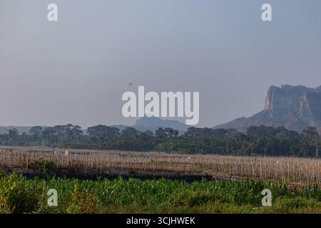 Natürlicher felsiger Bergrücken mit lebhafter Plantage im Vordergrund Stockfoto