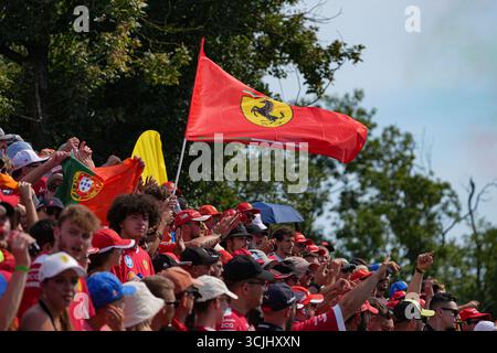 Monza, Italien. September 2025. Tifosi Ferrari während des Formel-1-Rennens PIRELLI Gran Premio d’Italia 2025, 16. Runde der FIA Formel-1-Weltmeisterschaft 2025, 7. September 2025 auf dem Autodromo Nazionale Monza in Monza, Italien. Credit: Luca Rossini/Alamy Live News Credit: Luca Rossini/Alamy Live News Stockfoto