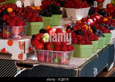 Obst und Beeren auf einem Bauernmarkt in Paris, Frankreich Stockfoto