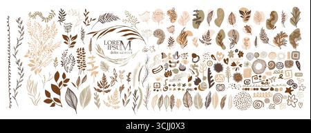 Set von verschiedenen braunen und beigen Vektorblüten. Handgezeichnet. Nicht AI, Vektorillustration Stock Vektor