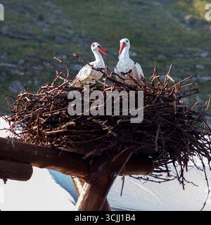 Zwei Störche in Nestern auf einer Holzkonstruktion. Hintergrund: Felsiges Gelände und ein Zelt. Die Szene fängt Natur und Tierwelt, Landschaft ein Stockfoto