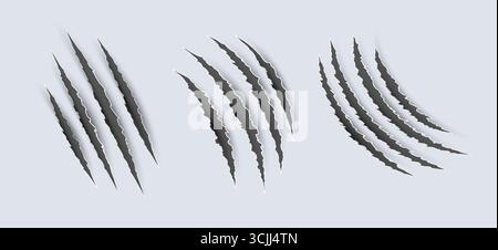 Kratzklauenmarkierung Tiger Bear Pfow Symbol. Tierlöwe Schlitzkralle Vektor wildes Monster Form Design. Stock Vektor