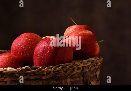 Ein Korb gefüllt mit frisch gepflückten Gala-Äpfeln. Stockfoto