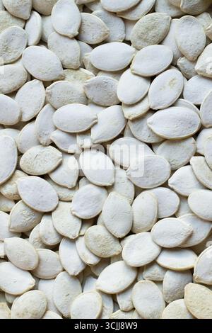 Geröstete weiße Kürbiskerne Hintergrund. Dieses Bild kann horizontal oder vertikal verwendet werden. Stockfoto