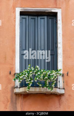 Ein Balkon mit Blumen an der orangen Wand eines venezianischen Gebäudes Stockfoto
