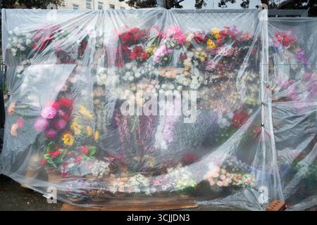 Blumen bedeckt mit Plastikfolie Stockfoto