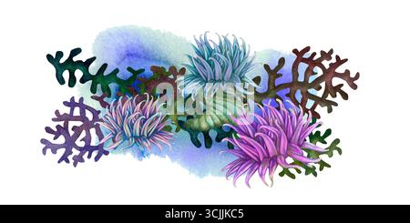 Tropische Regenbogenanemonen und bunte Korallen auf blauem Hintergrund. Unterwasseransicht Aquarellvorlage für Meeresdesign, Karten, Poster, Kinder Stockfoto