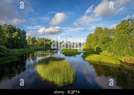 Arched concrete bridge over calm river with green reeds and trees on sunny summer day in Baltic region countryside landscape Stockfoto