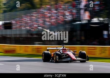 Monza, Italien. September 2025. Charles Leclerc (Scuderia Ferrari HP F1 Team, Monaco, #16) im SF-25, Credit: dpa/Alamy Live News Stockfoto
