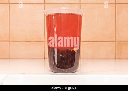 Asiatische Frische: Kaltgepresster Matcha-Tee mit Mandelmilch, cremigem Schaum und Matcha-Pulver in einem Café-Glas garniert Stockfoto