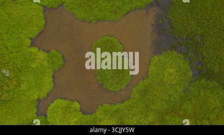 Aus der Vogelperspektive isländischer Feuchtgebiete mit einem braunen Teich und einer kleinen ovalförmigen Insel, umgeben von grüner Vegetation und Marschland Stockfoto