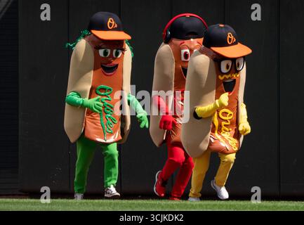 Baltimore, USA. September 2025. BALTIMORE, MD - SEPTEMBER 07: Das Hot Dog-Rennen während eines MLB-Spiels zwischen den Baltimore Orioles und den Los Angeles Dodgers am 7. September 2025 im Oriole Park at Camden Yards in Baltimore, Maryland. (Foto: Tony Quinn/SipaUSA) Credit: SIPA USA/Alamy Live News Stockfoto