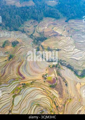 Sonnenaufgang über Yuanyang Reisterrassen in Yunnan, China, einer der neuesten UNESCO-Weltkulturerbestätten, Hintergrundbild Luftbild Stockfoto