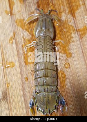 Dorsale Ansicht frischer Mantis-Garnelen auf hölzernem Schneidebrett Stockfoto