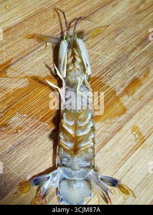 Ventrales Makro frischer Mantis-Garnelen auf hölzernem Schneidebrett Stockfoto
