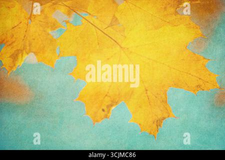 Herbstlaub über Vintage-Hintergrund. Perfekte Grunge-Herbst-Textur. Stockfoto