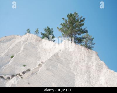 Wunderschöner weißer Berg mit strukturierten Kreideablagerungen mit widerstandsfähigen grünen Kiefern vor klarem blauem Himmel. Die Schönheit und Stärke der Natur. Indus Stockfoto