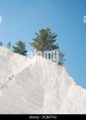 Wunderschöner weißer Berg mit strukturierten Kreideablagerungen mit widerstandsfähigen grünen Kiefern vor klarem blauem Himmel. Die Schönheit und Stärke der Natur. Indus Stockfoto