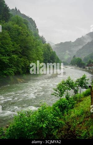 Atemberaubender Wald- und Flussblick auf die Schwarzmeerregion Karadeniz im Norden der Türkei Camlihemsin Cat Village in Rize Türkei Stockfoto