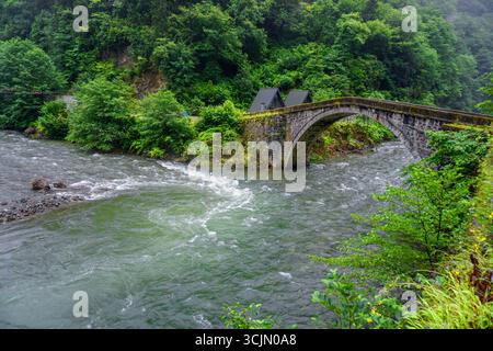 Atemberaubender Wald- und Flussblick auf die Schwarzmeerregion Karadeniz im Norden der Türkei Camlihemsin Cat Village in Rize Türkei Stockfoto