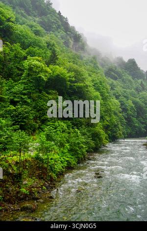 Atemberaubender Wald- und Flussblick auf die Schwarzmeerregion Karadeniz im Norden der Türkei Camlihemsin Cat Village in Rize Türkei Stockfoto