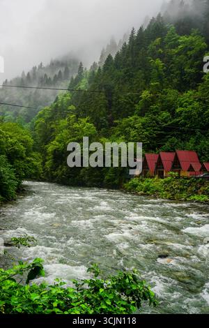 Atemberaubender Wald- und Flussblick auf die Schwarzmeerregion Karadeniz im Norden der Türkei Camlihemsin Cat Village in Rize Türkei Stockfoto