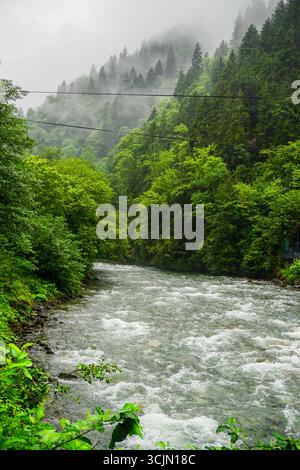 Atemberaubender Wald- und Flussblick auf die Schwarzmeerregion Karadeniz im Norden der Türkei Camlihemsin Cat Village in Rize Türkei Stockfoto