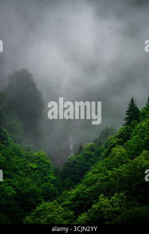 Atemberaubender Wald- und Flussblick auf die Schwarzmeerregion Karadeniz im Norden der Türkei Camlihemsin Cat Village in Rize Türkei Stockfoto