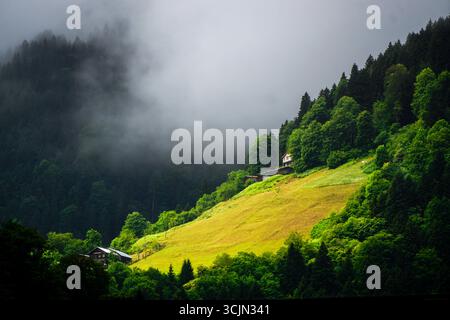 Atemberaubender Wald- und Flussblick auf die Schwarzmeerregion Karadeniz im Norden der Türkei Camlihemsin Cat Village in Rize Türkei Stockfoto