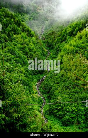 Atemberaubender Wald- und Flussblick auf die Schwarzmeerregion Karadeniz im Norden der Türkei Camlihemsin Cat Village in Rize Türkei Stockfoto