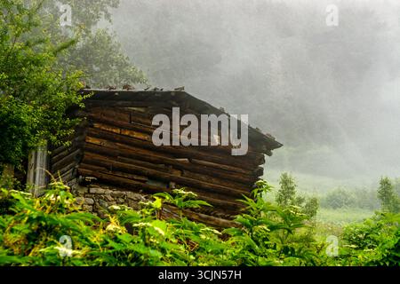Atemberaubender Wald- und Flussblick auf die Schwarzmeerregion Karadeniz im Norden der Türkei Camlihemsin Cat Village in Rize Türkei Stockfoto