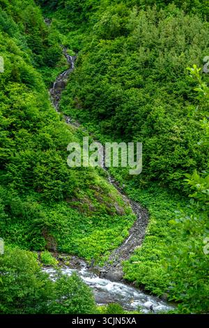 Atemberaubender Wald- und Flussblick auf die Schwarzmeerregion Karadeniz im Norden der Türkei Camlihemsin Cat Village in Rize Türkei Stockfoto
