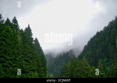 Atemberaubender Wald- und Flussblick auf die Schwarzmeerregion Karadeniz im Norden der Türkei Camlihemsin Cat Village in Rize Türkei Stockfoto