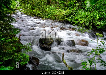 Atemberaubender Wald- und Flussblick auf die Schwarzmeerregion Karadeniz im Norden der Türkei Camlihemsin Cat Village in Rize Türkei Stockfoto