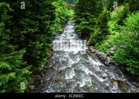 Atemberaubender Wald- und Flussblick auf die Schwarzmeerregion Karadeniz im Norden der Türkei Camlihemsin Cat Village in Rize Türkei Stockfoto