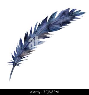 Aquarellblau und schwarze Vogelfeder, handgezeichnet. Isoliert auf weißem Hintergrund. Die Feder einer Elster, Krähe oder eines exotischen Vogels Stockfoto