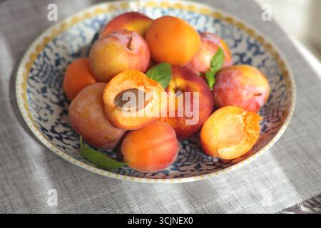 Früchte auf Porzellanplatte mit blauem Muster. Nahrung und Vitamine, gesunde Ernährung. Saisonales Essen. Stockfoto
