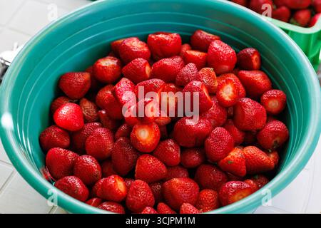 Frisch gewaschene Erdbeeren in Blue Bowl, Nahaufnahme einer türkisfarbenen Schüssel gefüllt Stockfoto